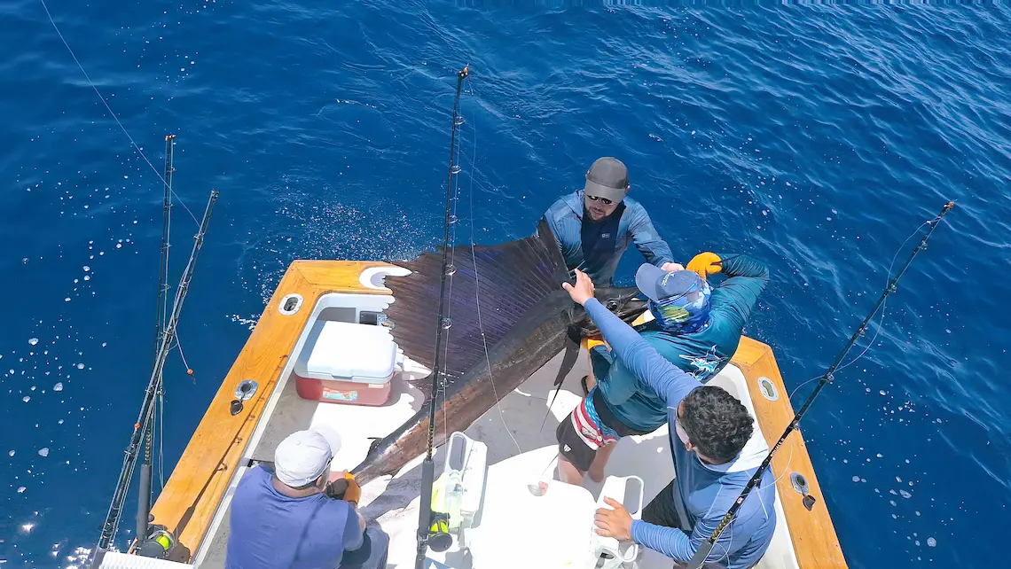 Sailfish hooked off the Manuel Antonio coast, Costa Rica